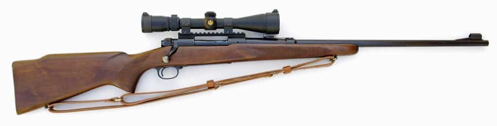 best rifle for bear hunting