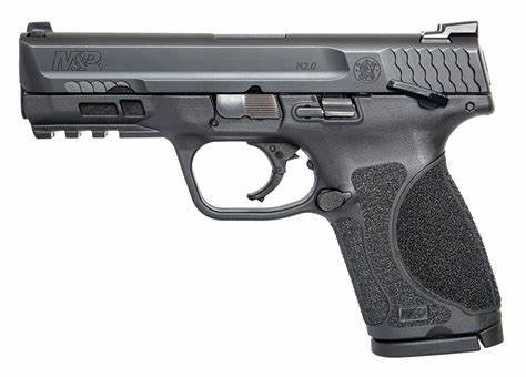 best handgun for bear defense