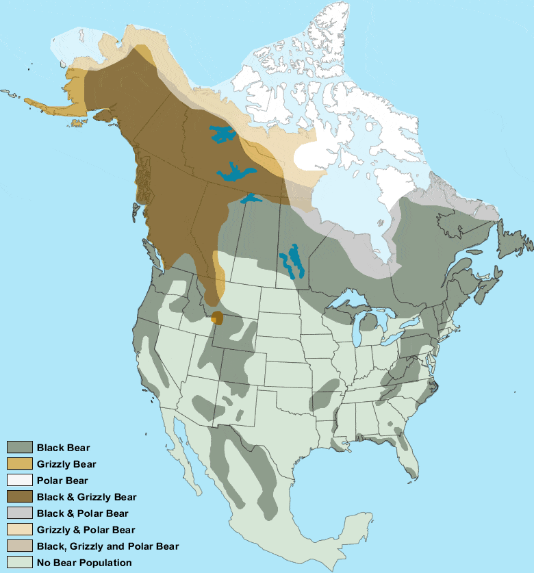 state map of bear species