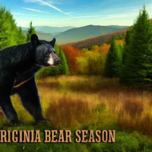 virginia bear season